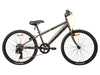 SATELLITE SPORT 24.