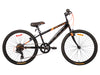 SATELLITE SPORT 24.