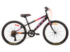SATELLITE SPORT 24
