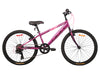 SATELLITE SPORT 24